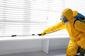 Best Termite Inspection and Treatment  in Lamesa, TX